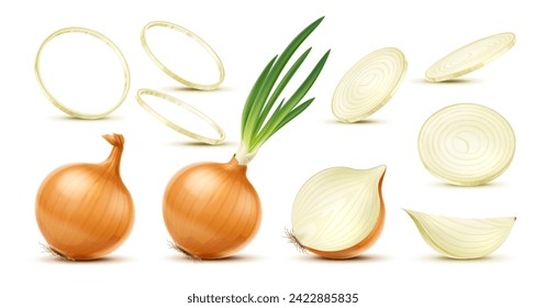 Isolated realistic yellow raw onion, slice and ring, whole and half vegetable 3d vector set. Full and chopped plants, full bulb with long green shoots, segment and circular parts on white background