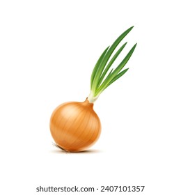 Isolated realistic yellow raw whole onion vegetable. 3d vector plant with dry golden husk and long, green shoots or sprouts. Ripe fresh garden plant emanates pungent aroma, ready to be cooked