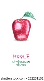 isolated red apple with leaf on white background/ Vector eps10