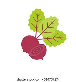 Isolated Red beetroot whole, cut, sliced, flat design vector