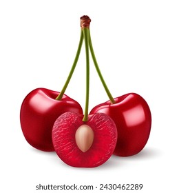 Isolated red cherries on one stem on white. Three sweet cherry fruits on one stem, one cut in half with a pit