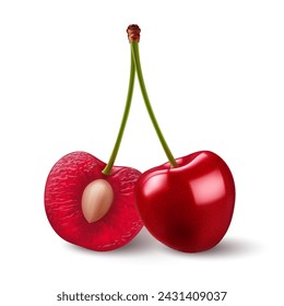 Isolated red cherries on one stem on white background. Two sweet cherry fruits on one stem, one cut in half with a pit