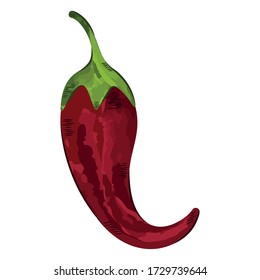 Isolated red chili pepper. Mexican food. Watercolor style - Vector