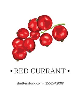 Isolated red currant with stylized leaves on a white background. Ripe berries with leaves. Print, banner, label, poster, sticker, logo. Vector illustration.