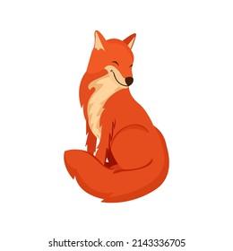 Isolated red fox turtle animated animals jungle vector illustration