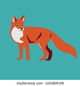 isolated red fox. wild animals concept, forest animals. Vector illustration for print, design.