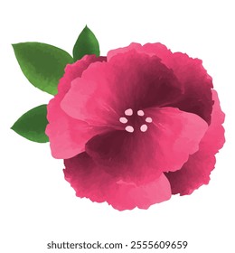 Isolated red handdrawn watercolor flower