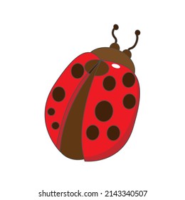 Isolated red ladybug animated animals jungle vector illustration