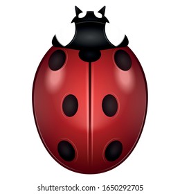 Isolated red ladybug image. Cute isect - Vector