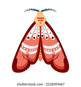 Isolated red moth vector illustration
