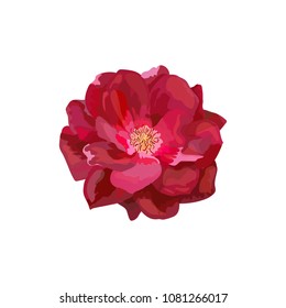 Isolated red plant. Collection with hand drawn flowers. Design for invitation, wedding or greeting cards. Vector illustration.