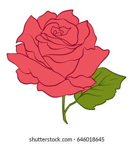 Isolated red rose with green leaves. Stock line vector illustration.
