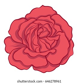 Isolated red rose. Stock line vector illustration.