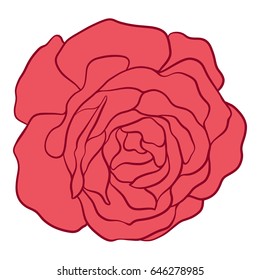 Isolated red rose. Stock line vector illustration.