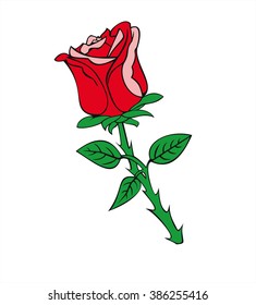 Isolated red rose, vector cartoon
