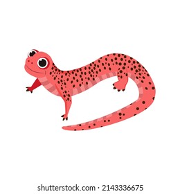 Isolated red salamander animated animals jungle vector illustration
