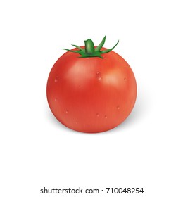Isolated red tomato with shadow. Realistic vector illustration.