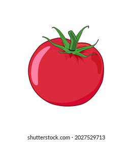 Isolated red tomato vector graphics