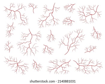 Isolated red veins of human anatomy. Vector blood veins, artery or eye capillary, blood vessels with branching structure. Medical set of healthy cardiovascular system arteries and arterioles