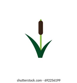 Isolated Reed Flat Icon. Cattail Vector Element Can Be Used For Cattail, Reed, Grass Design Concept.