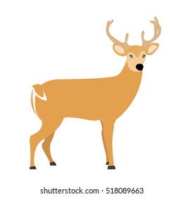 Isolated reindeer on a white background, Vector illustration