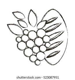 Isolated religion grapes and bread design