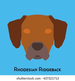 Isolated Rhodesian Ridgeback on a blue background
