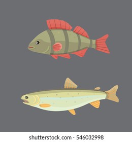 Isolated river fish. Set of freshwater sea cartoon fishes. Fauna ocean vector illustration