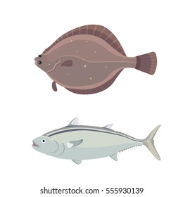 Isolated river fish. Set of freshwater sea cartoon fishes. Fauna ocean vector illustration