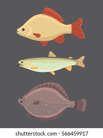 Isolated river fish. Set of freshwater sea cartoon fishes. Fauna ocean vector illustration