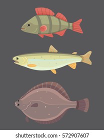 Isolated river fish. Set of freshwater sea cartoon fishes. Fauna ocean vector illustration