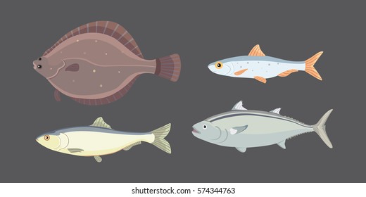 Isolated river fish. Set of freshwater sea cartoon fishes. Fauna ocean vector illustration