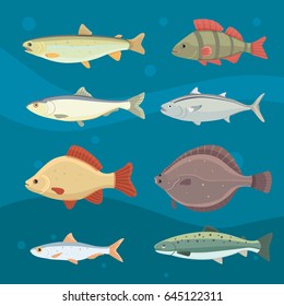 Isolated river fish. Set of freshwater sea cartoon fishes. Fauna ocean vector illustration
