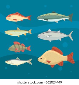 Isolated river fish. Set of freshwater sea cartoon fishes. Fauna ocean vector illustration