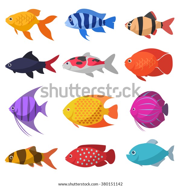 Isolated river fish. Set of freshwater aquarium\
cartoon fishes. varieties of ornamental popular color fish. Flat\
design fish. Vector illustration, fishes. fish collection. aquarium\
modern flat fishes.