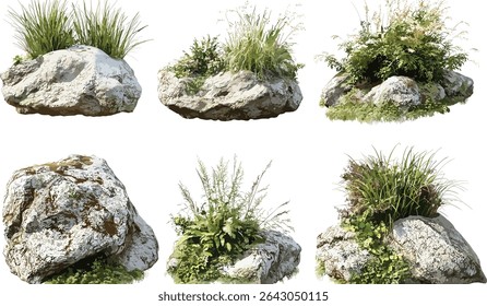Isolated rock and grass layout, nature composition set, meadow design, landscape vector, outdoor environment, lush green grass, rocky hills, serene landscape, countryside scenery