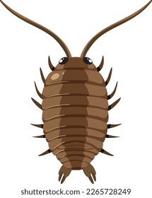 Isolated rock louse animal cartoon illustration