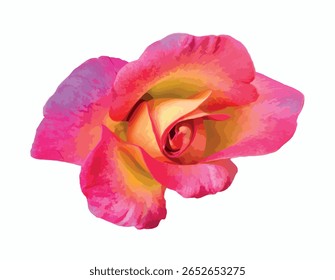 Isolada Rosa 'sorvete de arco-íris' floribunda rosa sobre fundo branco. Pétalas rosa, laranja e amarelas vivas em um gradiente elegante formam uma flor bicolor impressionante ideal para uso botânico ou decorativo.