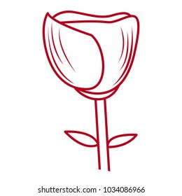 Isolated rose drawing