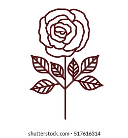 Isolated rose flower design