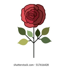 Isolated rose flower design