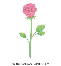 einzelne Rosenblume auf Rosa, Vektorgrafik