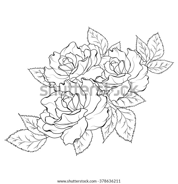 Isolated Rose Flowers Bouquet Detailed Outline Stock Vector (Royalty ...