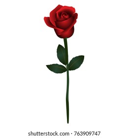 Isolated rose icon on a white background, vector illustration
