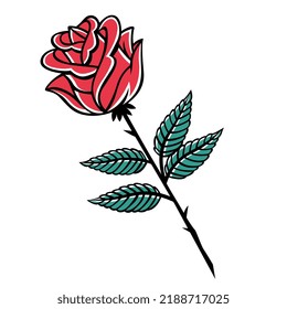 Isolated rose medium large phases color draw vector illustration