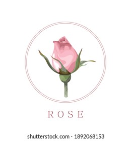 Rosa aislada sobre un fondo blanco. Flor rosa. Imprimir, banner, etiqueta, afiche, pegatina, logotipo. Ilustración vectorial.