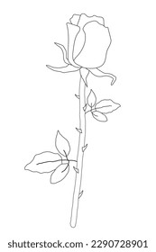 Isolated rose on white background. Floral vector illustration for coloring book. Black and white.