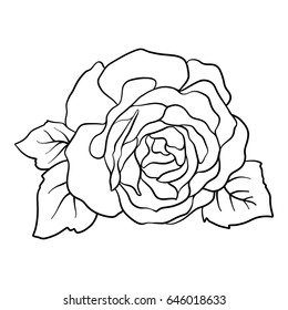 Isolated Rose Outline Drawing Stock Line Stock Vector (Royalty Free ...