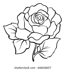 Isolated Rose. Outline Drawing. Stock Line Vector Illustration.