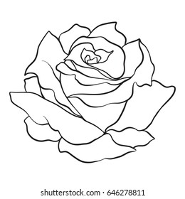 Isolated Rose Outline Drawing Stock Line Stock Vector (Royalty Free ...